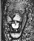 relief lion
