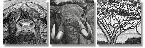 Adone T. Pozzobon Bulino engravings