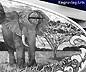 Left lock small Elephant